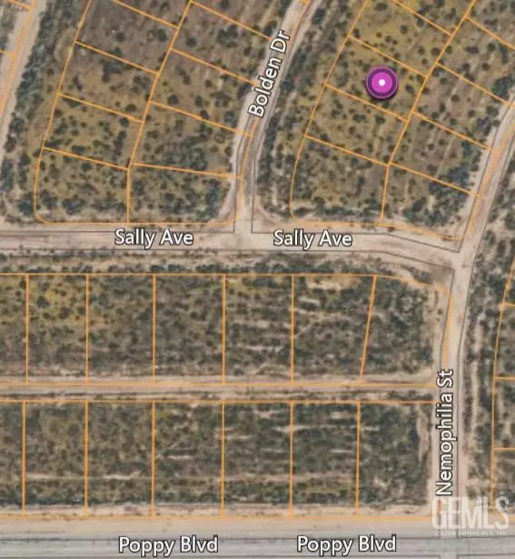 California City, CA 93505,0 Bolden Dr