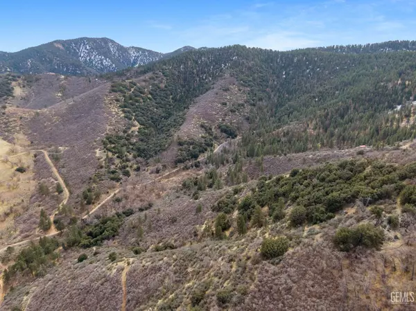 Tehachapi, CA 93561,0 APN# 325-102-02