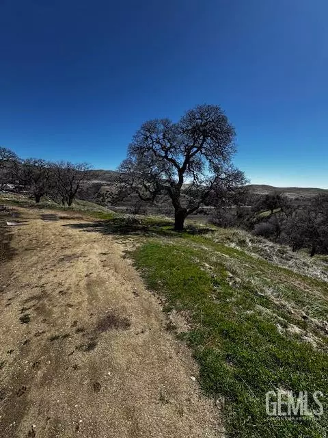Tehachapi, CA 93561,19516 Sycamore Drive