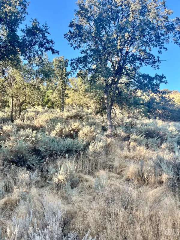 Tehachapi, CA 93561,0 Alps Drive