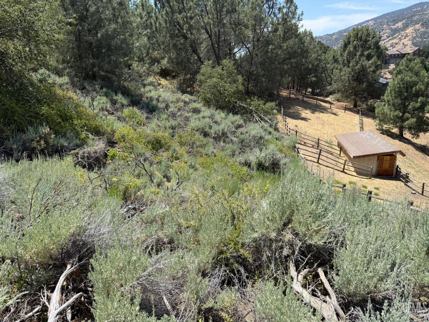 Tehachapi, CA 93561,26451 Oakflat Drive