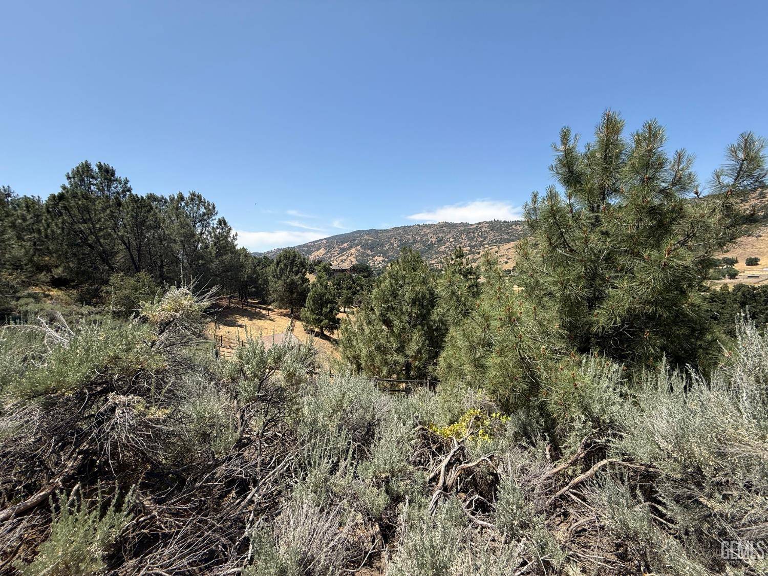 Tehachapi, CA 93561,26451 Oakflat Drive