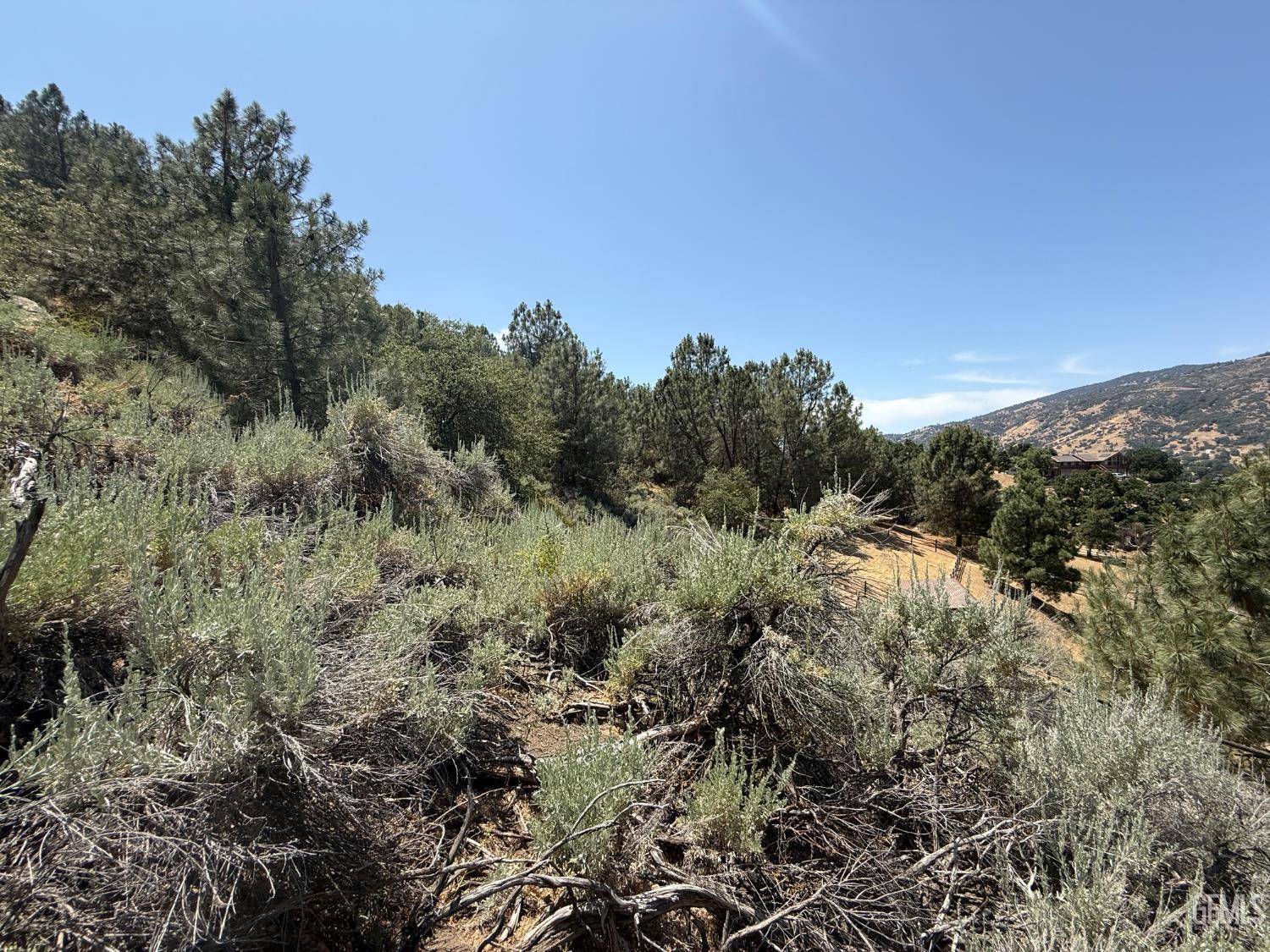 Tehachapi, CA 93561,26451 Oakflat Drive
