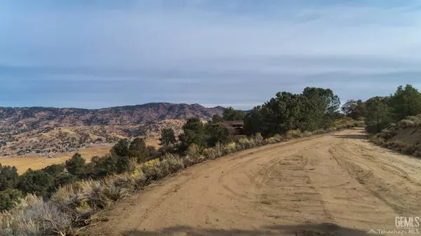 Tehachapi, CA 93561,22451 Saddleback Drive