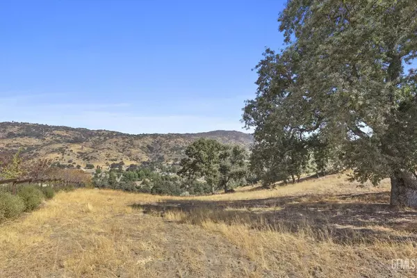 Tehachapi, CA 93561,26981 Oakflat Drive