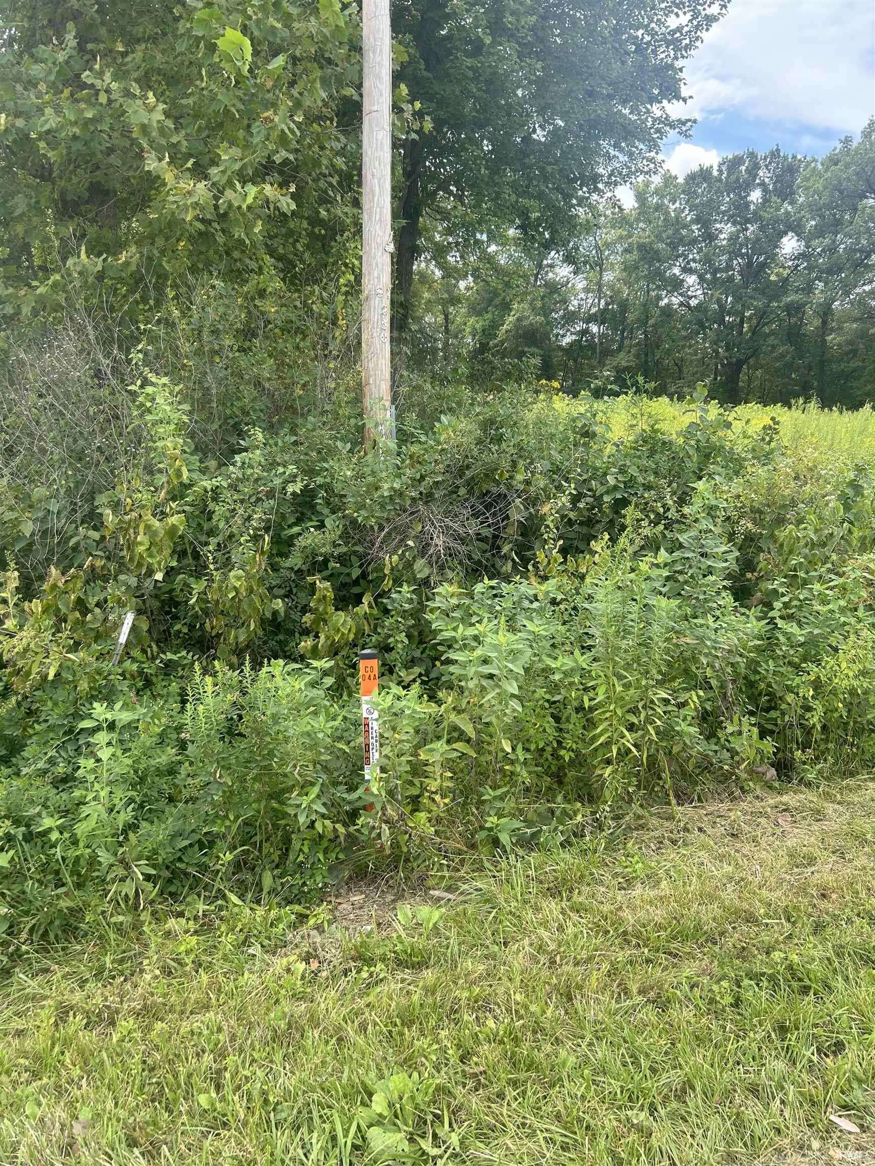 Stendal, IN 47585,CO RD 1100 S Road