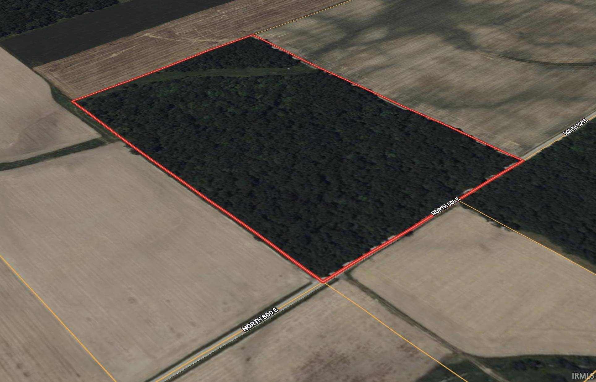 Montpelier, IN 47359,V/L 800 E