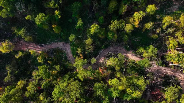 Perrysville, IN 47974,1 N 1000 Road