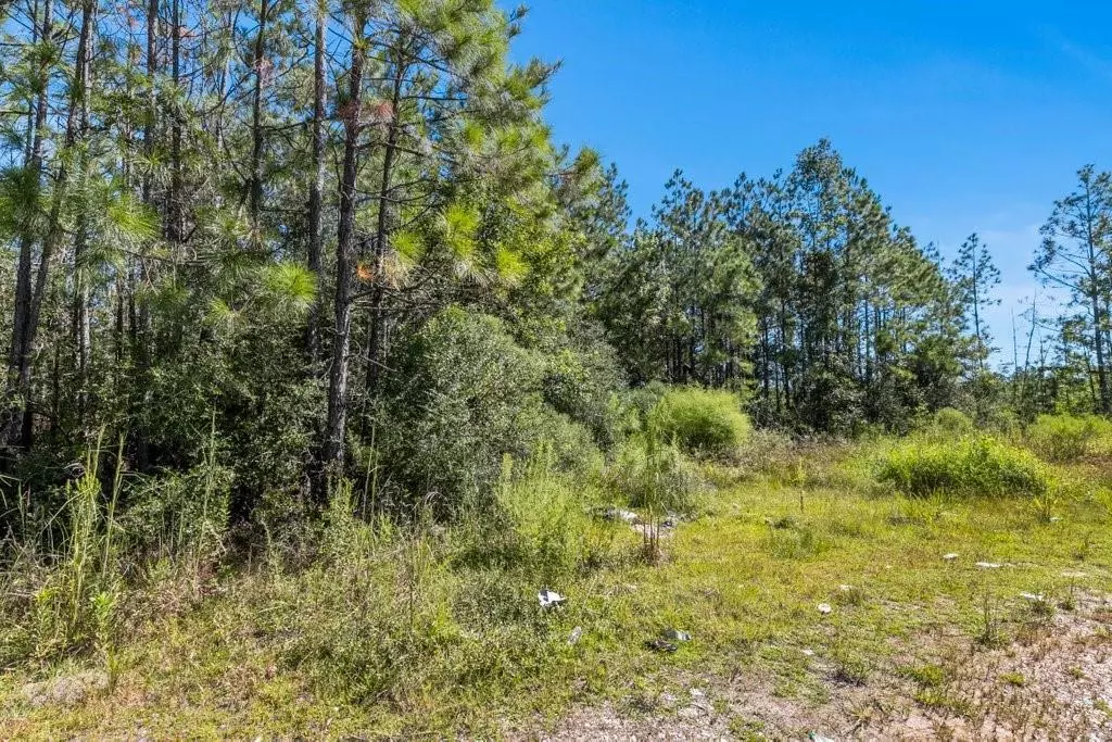 Dequincy, LA 70633,Pilgrim Rest Rd