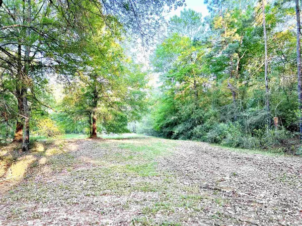 Buna, TX 77612,195 County Road 916