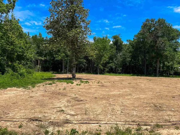 tbd W Tram #lot 1, Vidor, TX 77662