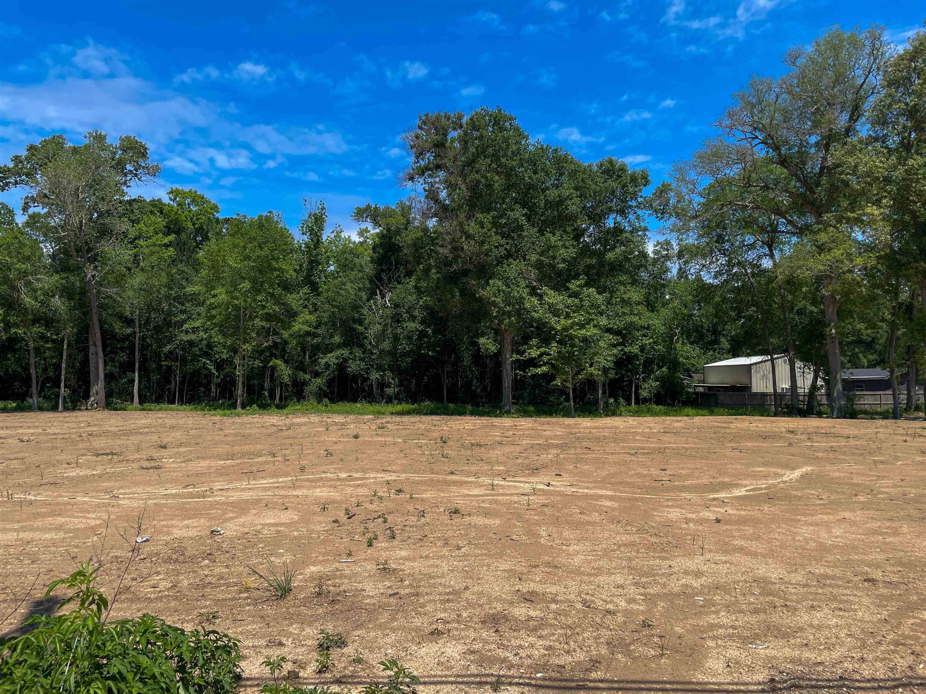 tbd W Tram #lot 2, Vidor, TX 77662