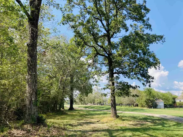 Sour Lake, TX 77659,Lot 12 Lakeview Drive-