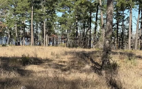 Brookeland, TX 75931,TBD Private Road 6026 #Lot 57