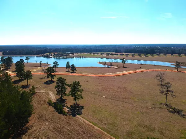 Hillister, TX 77624-9999,TBD Lakeland Loop Lot 85