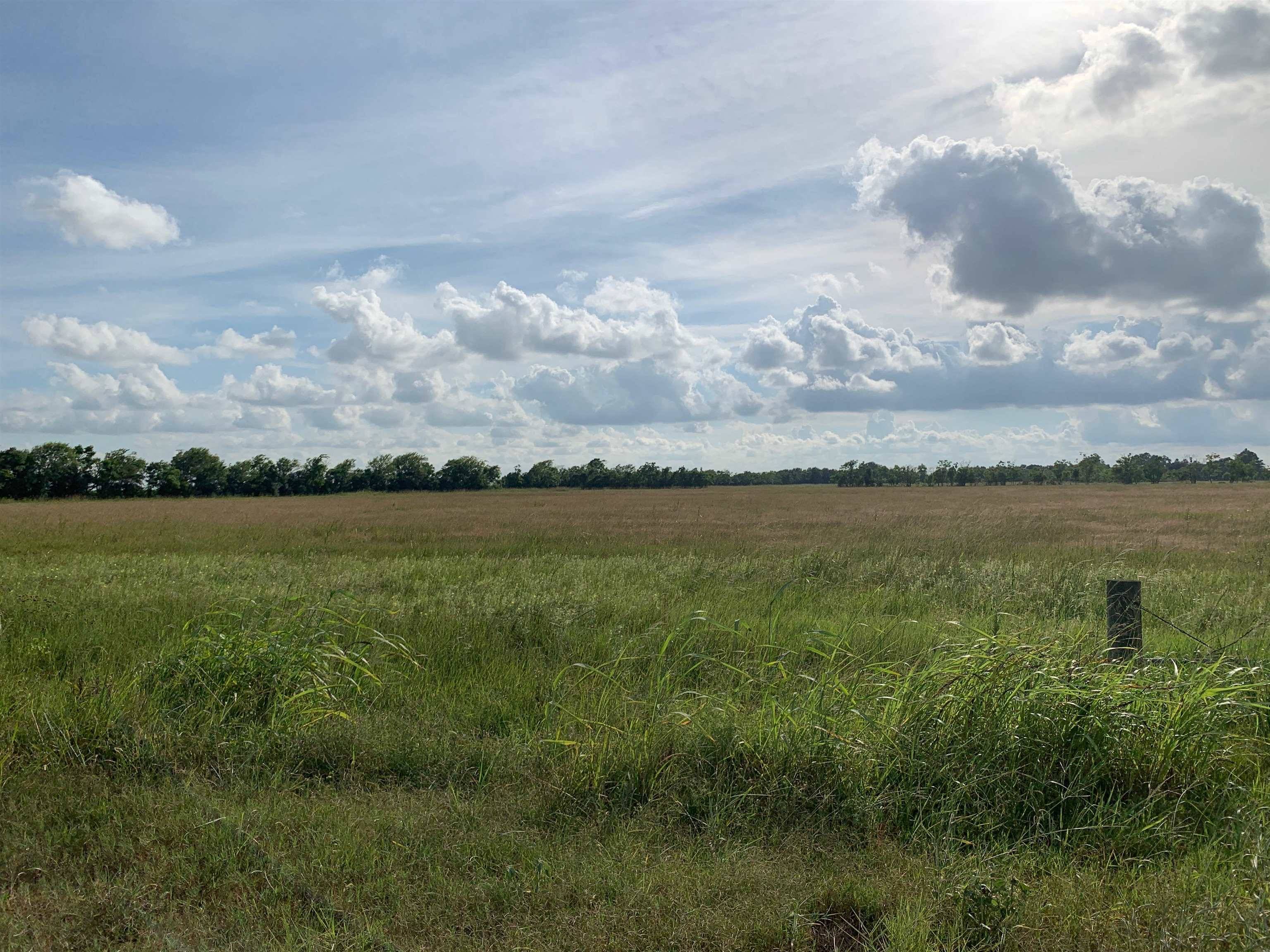 Pine Island Levey Road, Beaumont, TX 77713