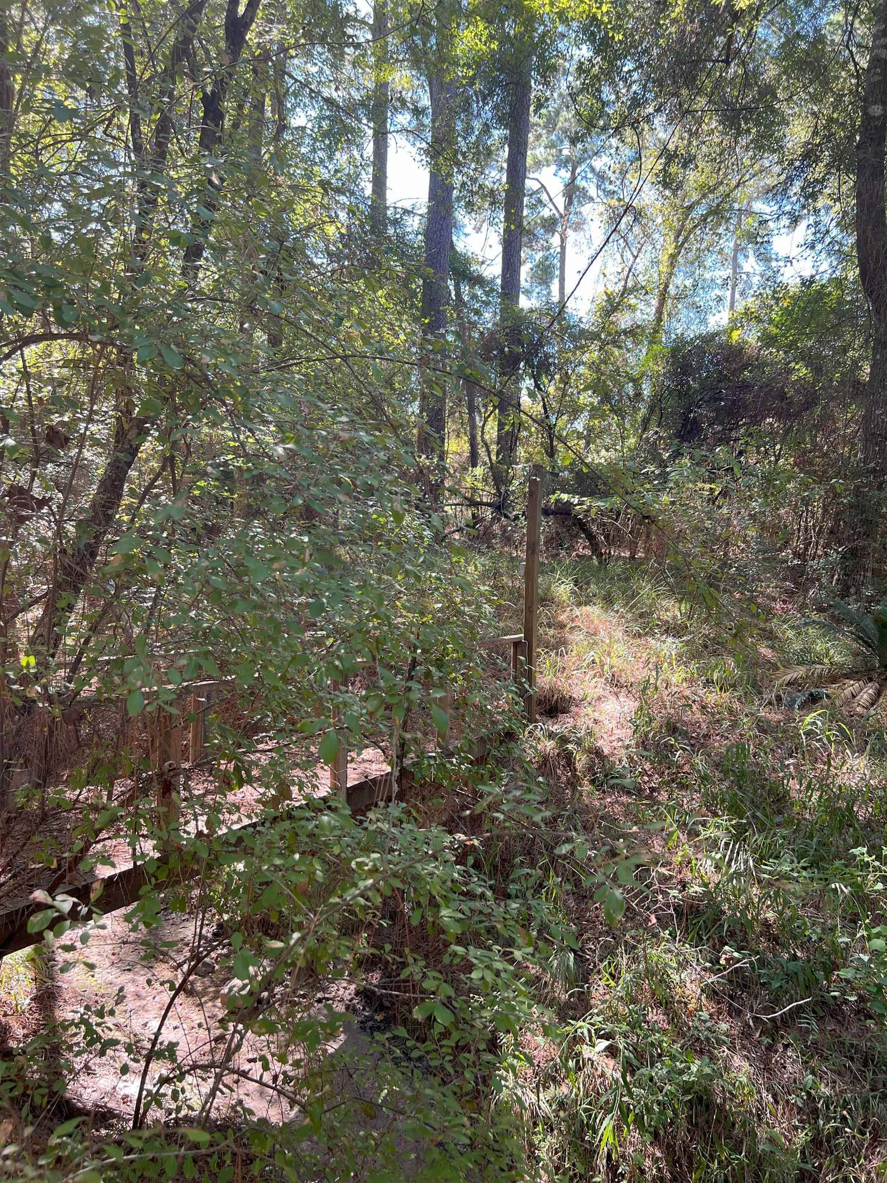 Trinity, TX 75862,TBD Neuces Drive