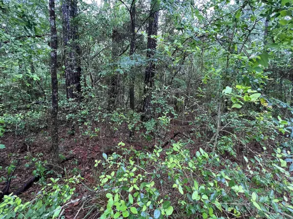 Brookeland, TX 75931,002 Parkside #lot 2
