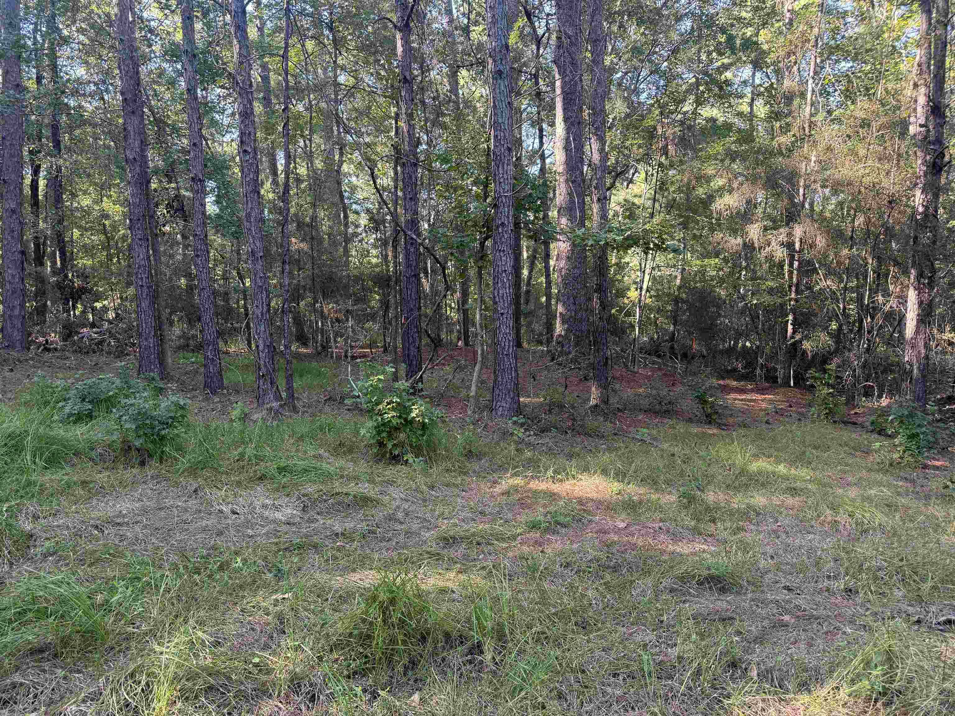 Brookeland, TX 75931,019 Dagger #lots 19,20