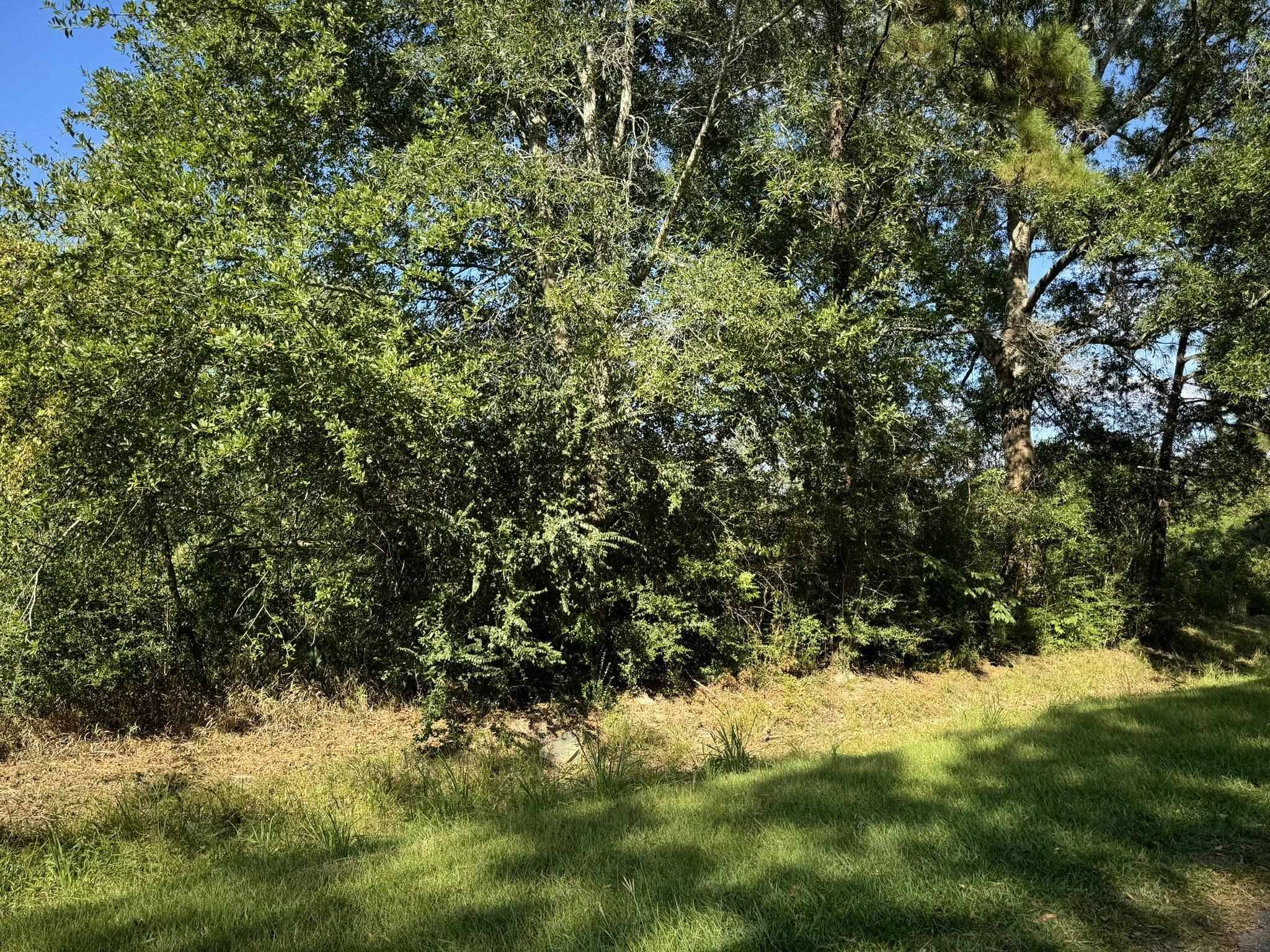 Orange, TX 77632,Lot 73 Pine Park Blvd