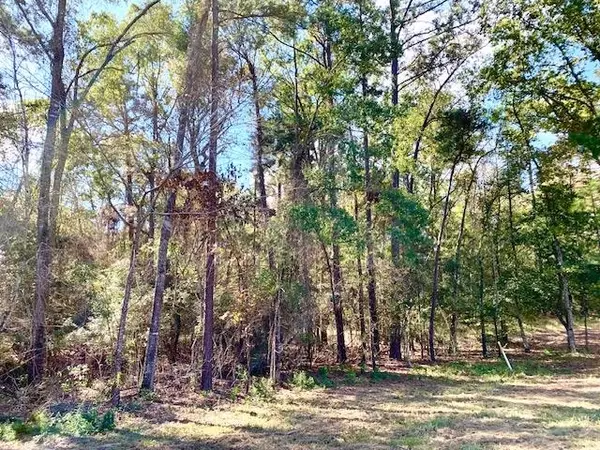 Woodville, TX 75979,TBD 38.3+/- AC CR 2310