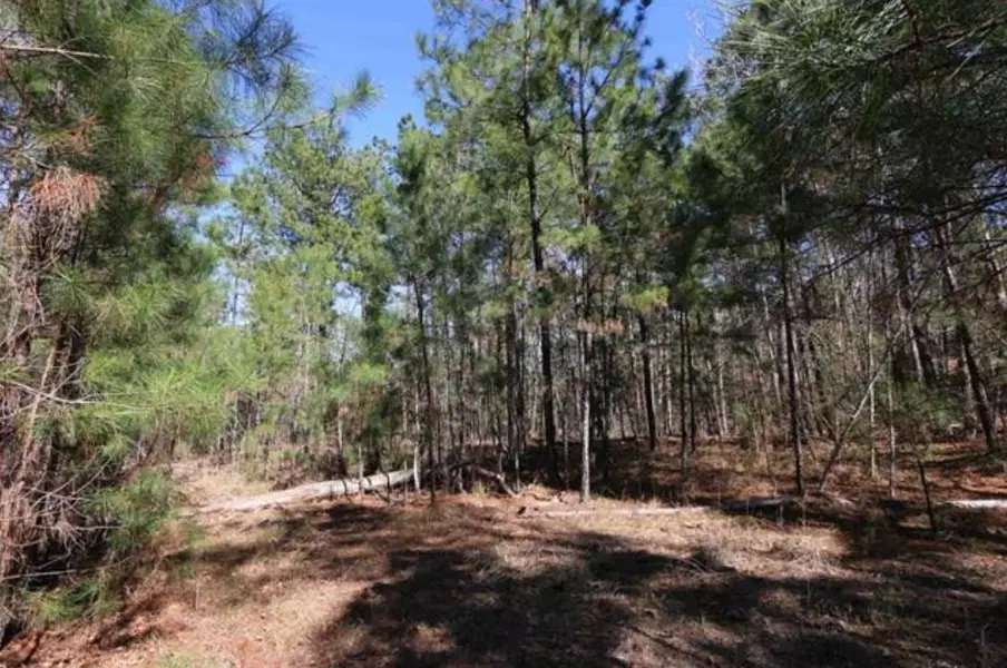 LOT 5 CrossRidge Drive, Brookeland, TX 75931