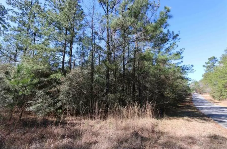 LOT 142 CrossRidge Drive, Brookeland, TX 75931