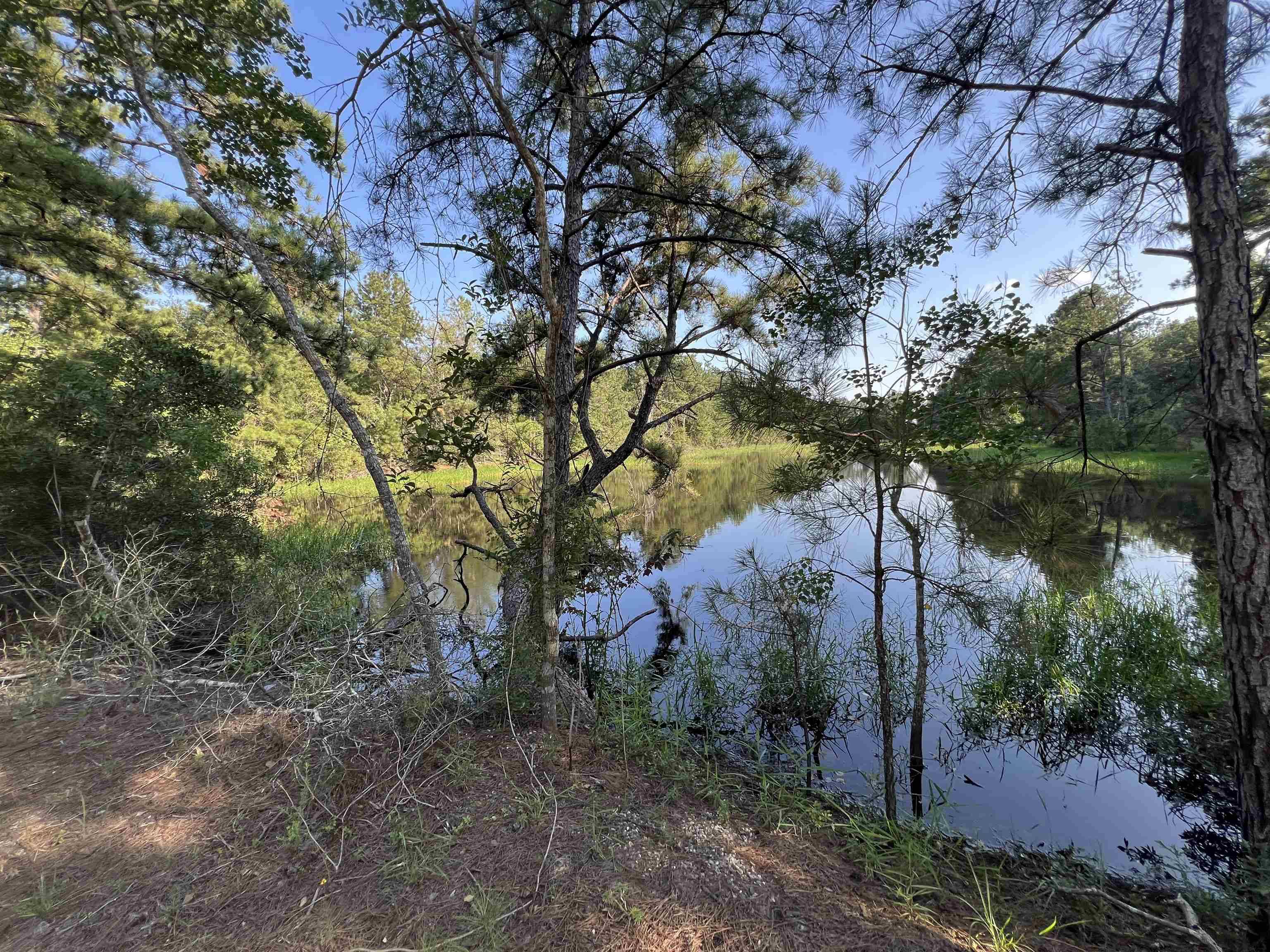Kirbyville, TX 75956,0 COUNTY ROAD 608