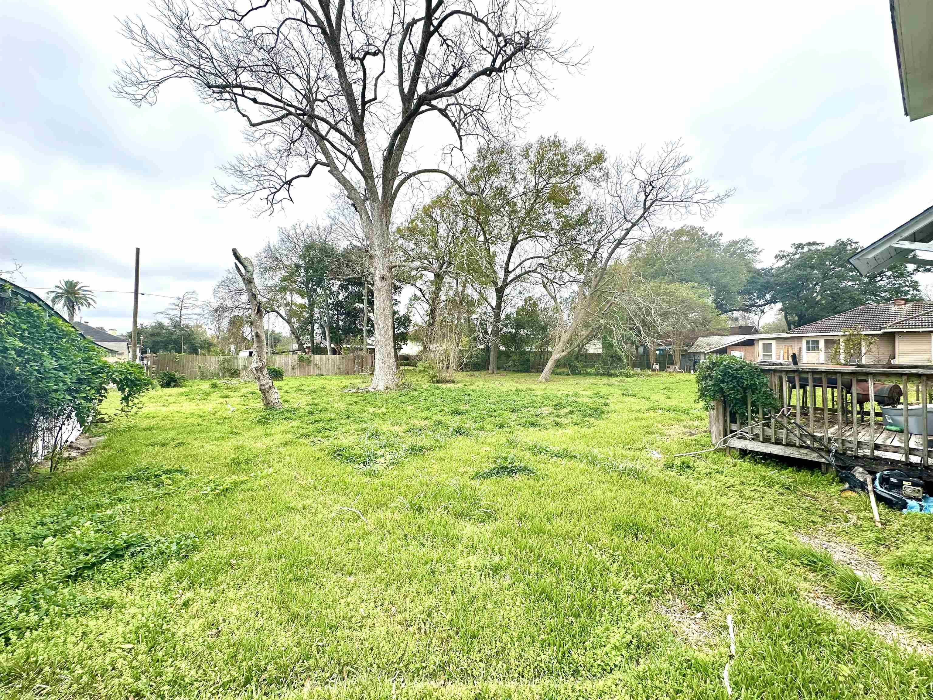 Beaumont, TX 77701,2255 Laurel