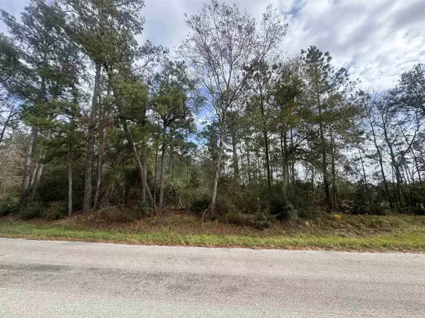 23035 FM 365, Beaumont, TX 77705
