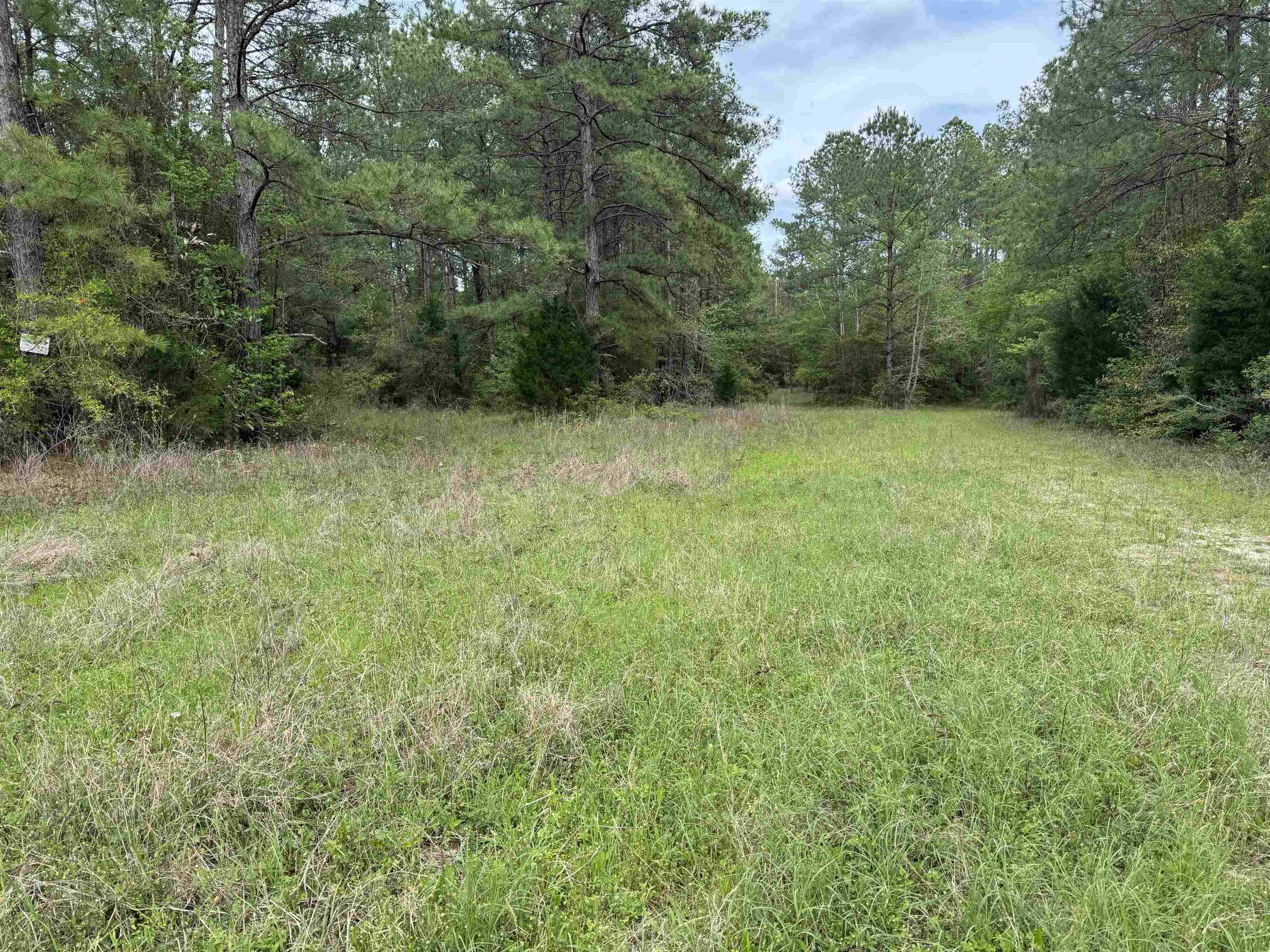 Kountze, TX 77625,10586 Holland