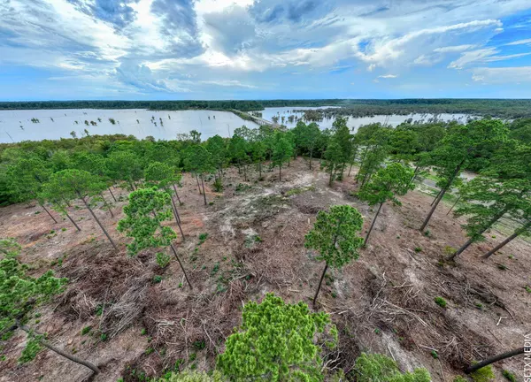 Broaddus, TX 75929,001 FM 83 #Lot 1