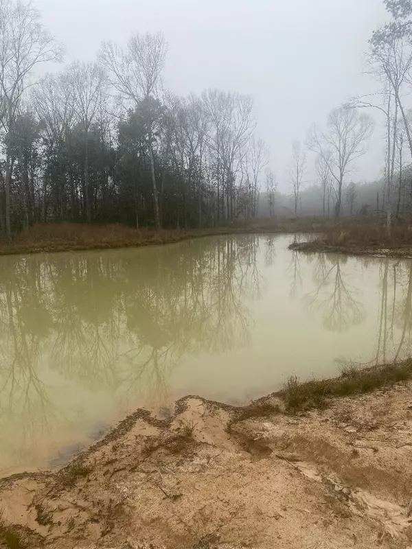 Sour Lake, TX 77625,9870 Hwy 326