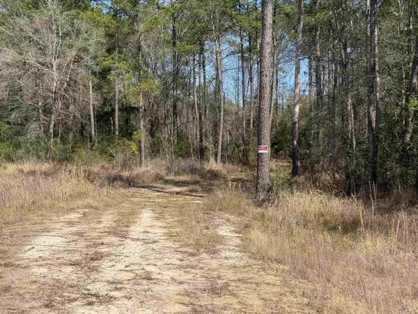 9105 Grizzly, Kountze, TX 77625
