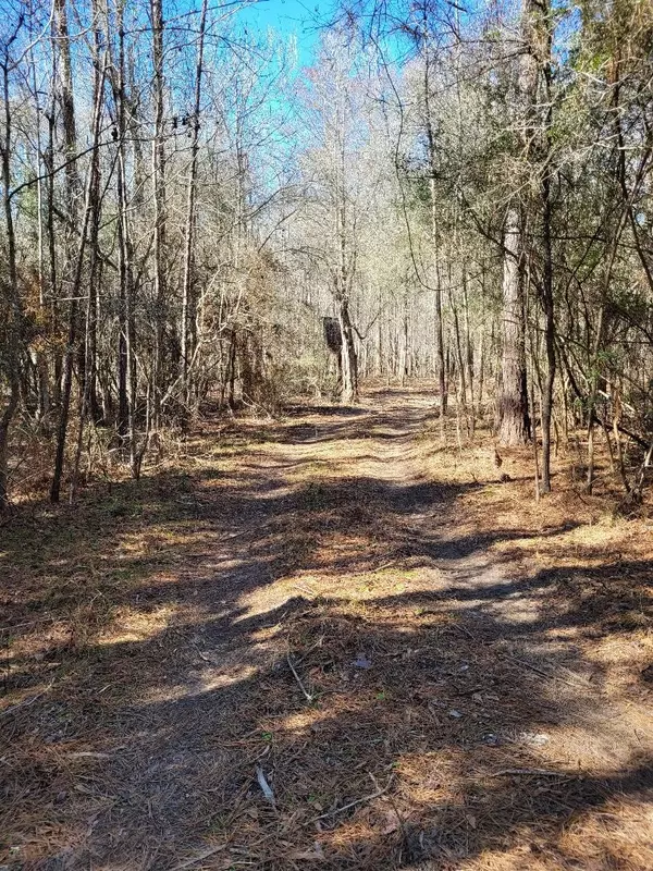 Call, TX 75933,TBD County Road 4110