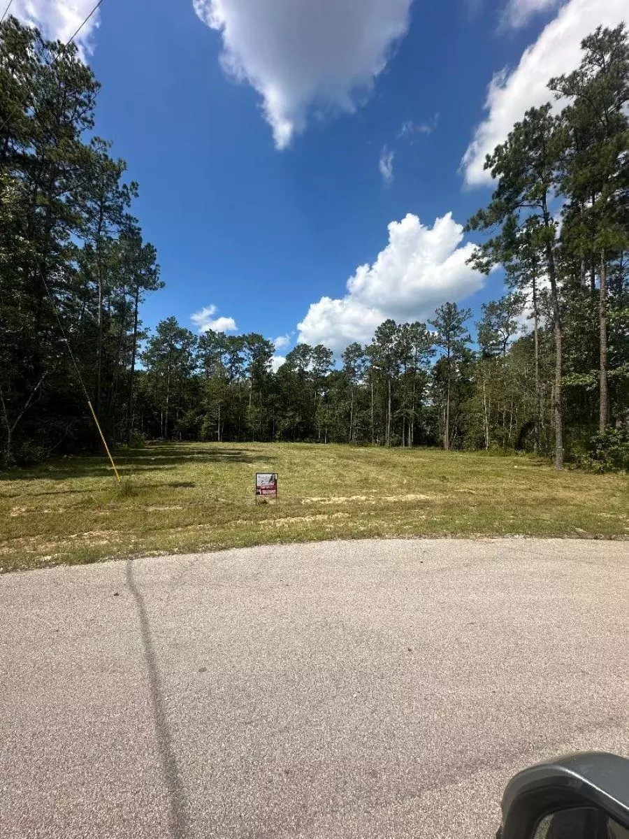 Kountze, TX 77625,10820 Rock Creek Ridge Dr