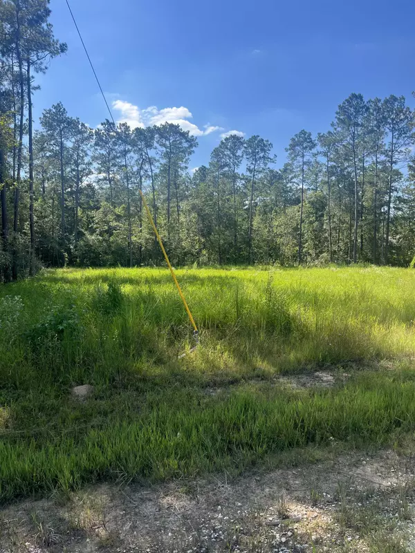 Kountze, TX 77625,10820 Rock Creek Ridge Dr