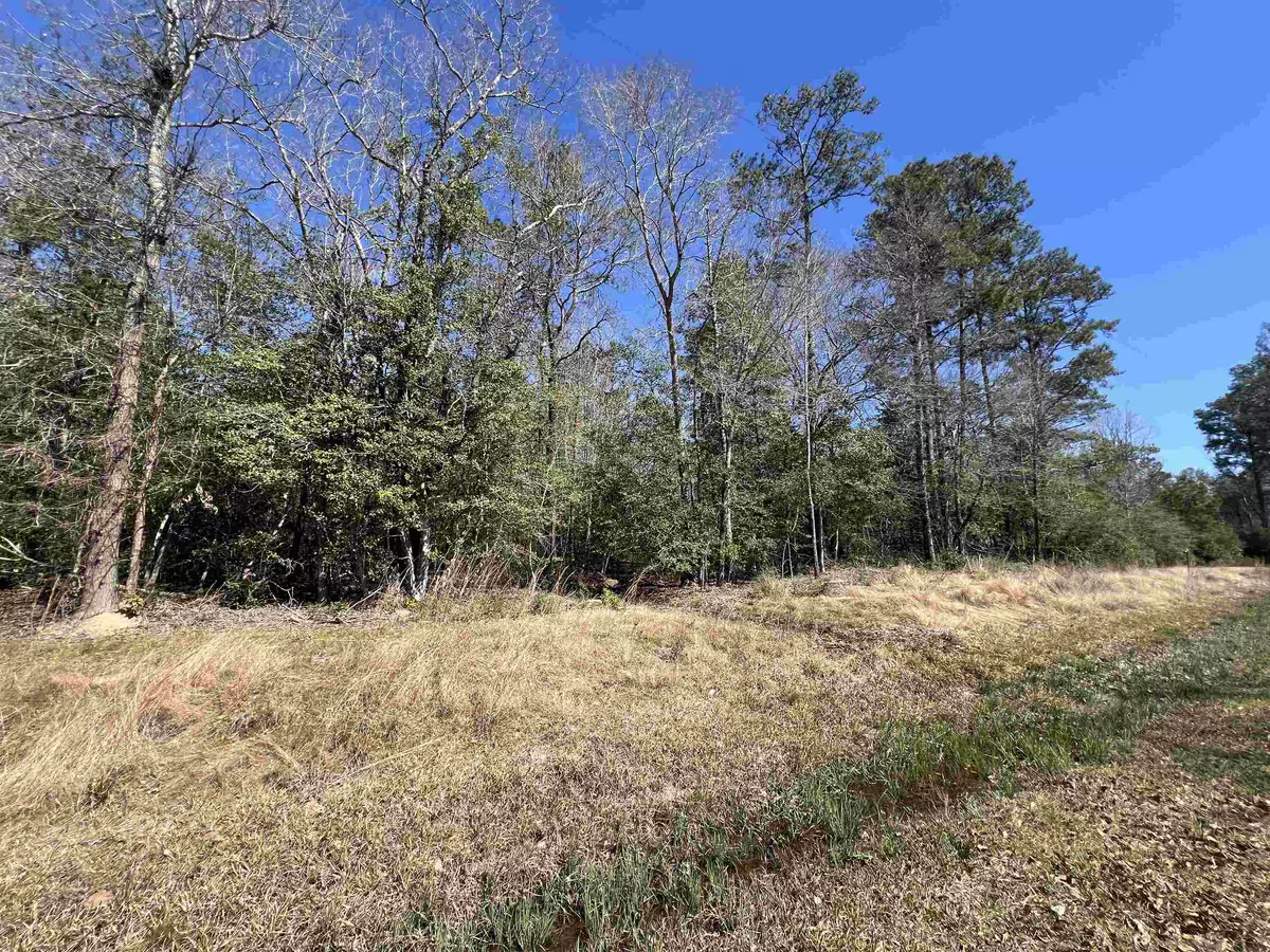 Kountze, TX 77625,TBD Laird Rd. #TRACT 3