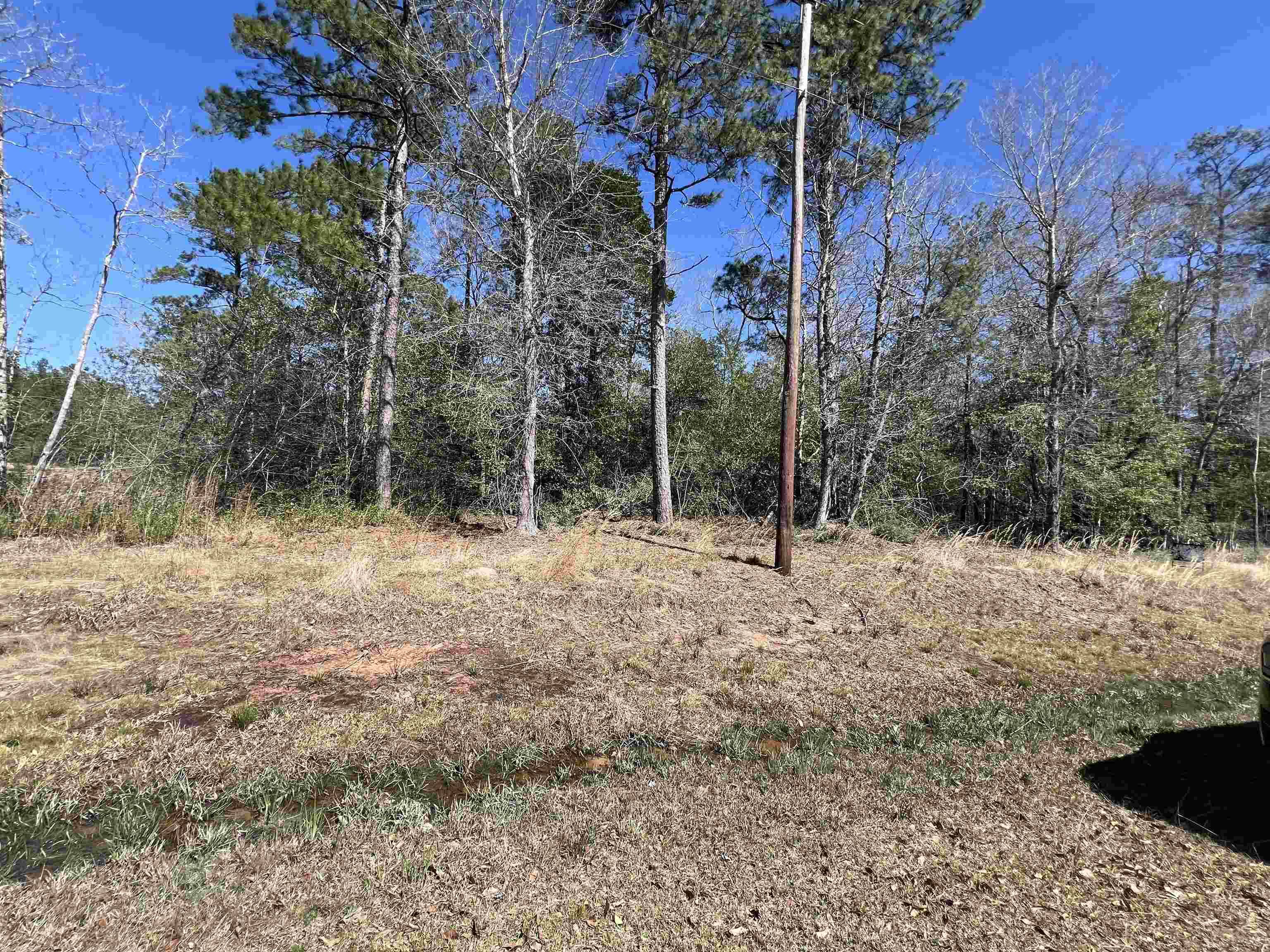 Kountze, TX 77625,TBD Laird Rd. #TRACT 3
