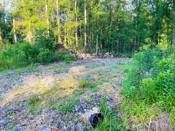 4025 Barnhill #Tract I (west), Vidor, TX 77662