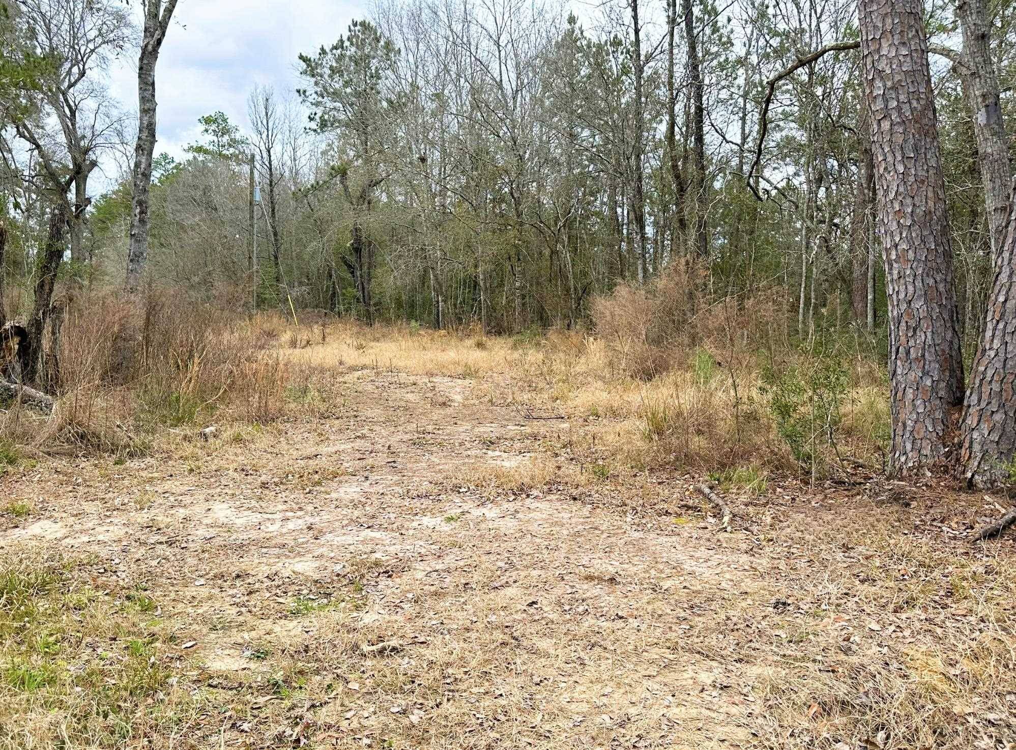 12280 Pelt Rd., Kountze, TX 77625