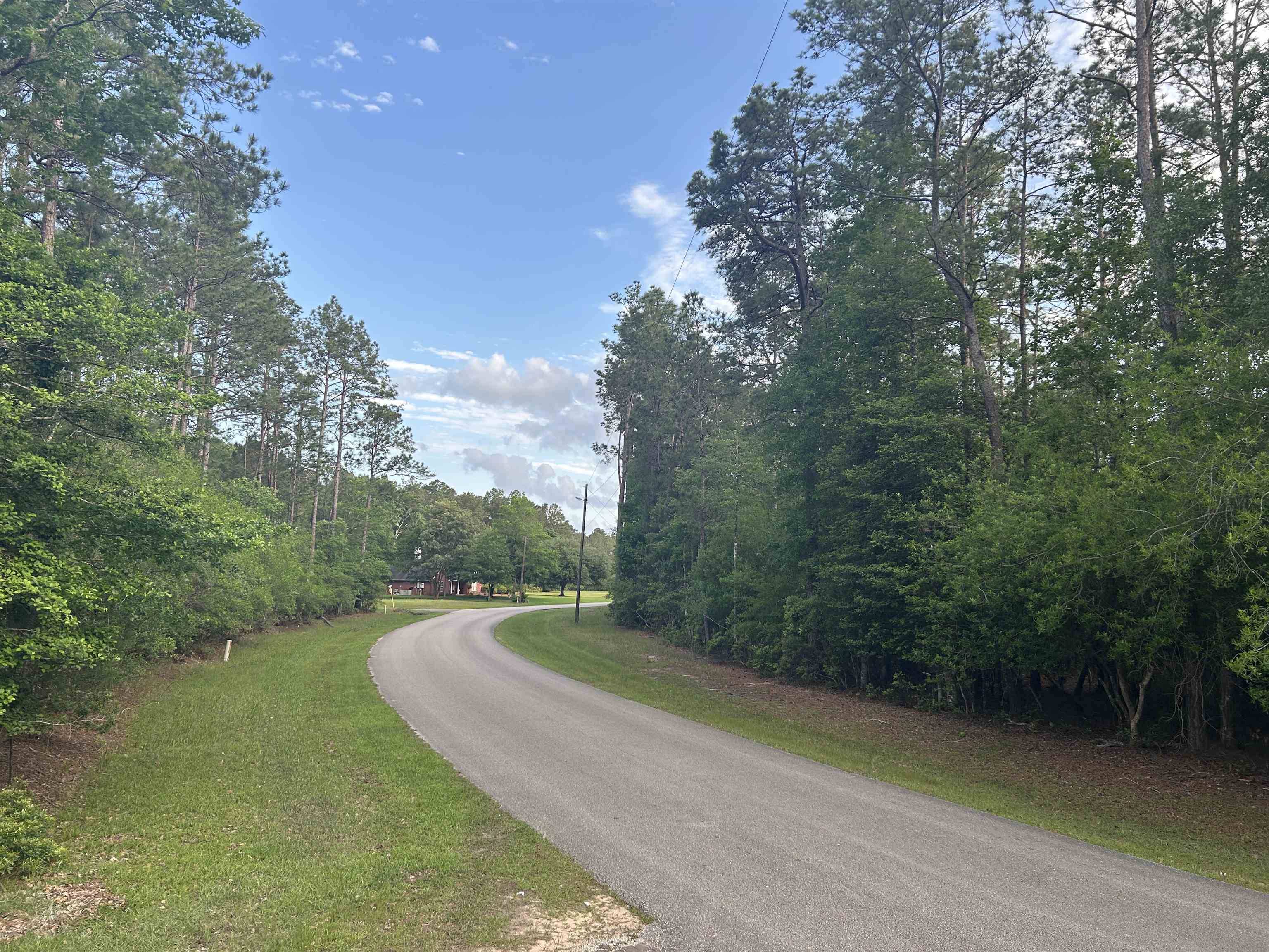 Village Mills, TX 77663,Lot 8 & 9 E WILDWOOD DR
