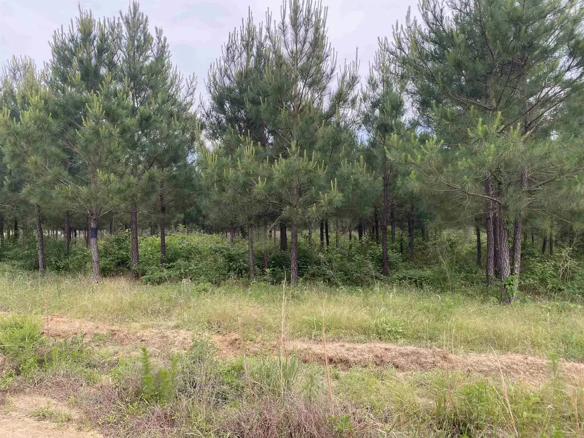 Newton, TX 75966,TBD CR 3060 #Tract 13