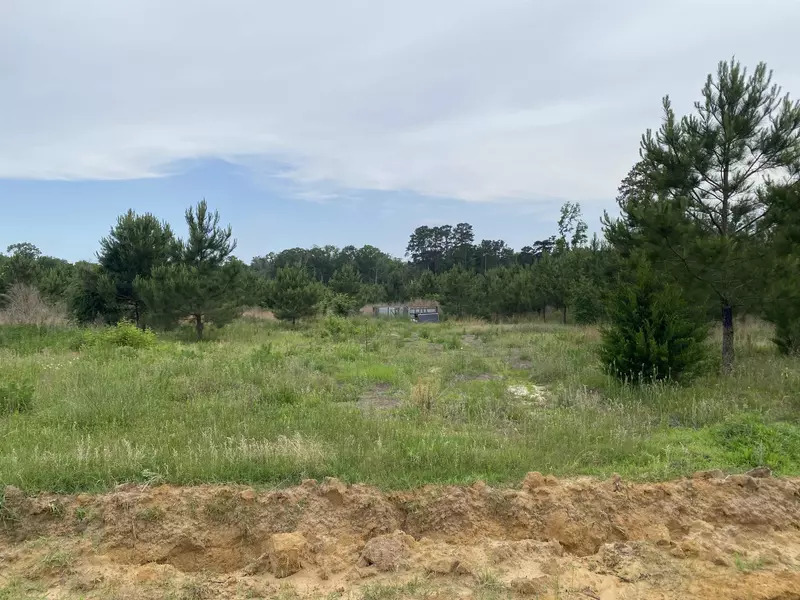 TBD CR 3060 #Tract 14, Newton, TX 75966