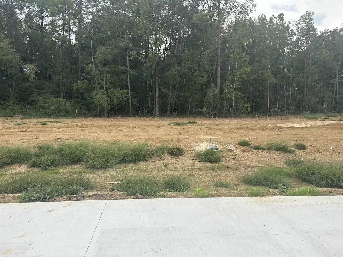 Lumberton, TX 77657,7860 Pixie Lane