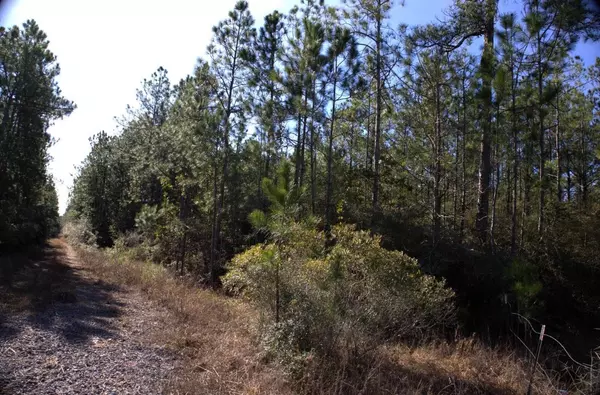 Kountze, TX 77625,R20622 Lot #2 FM 770