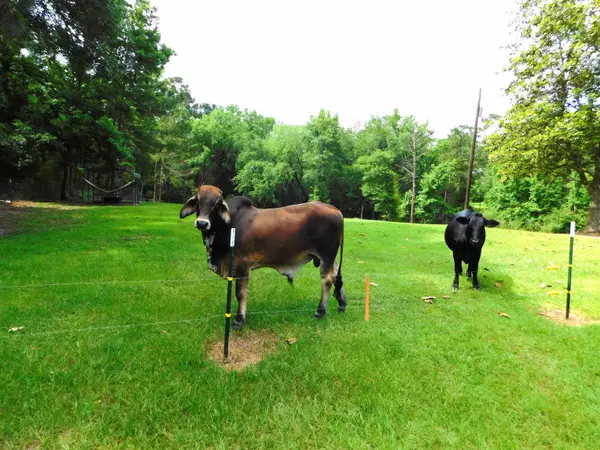 Bronson, TX 75930,1305 Boyd Road