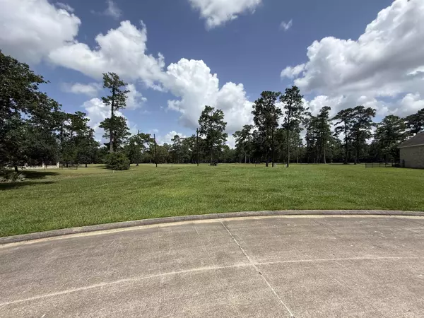 280 Idylwild, Sour Lake, TX 77659