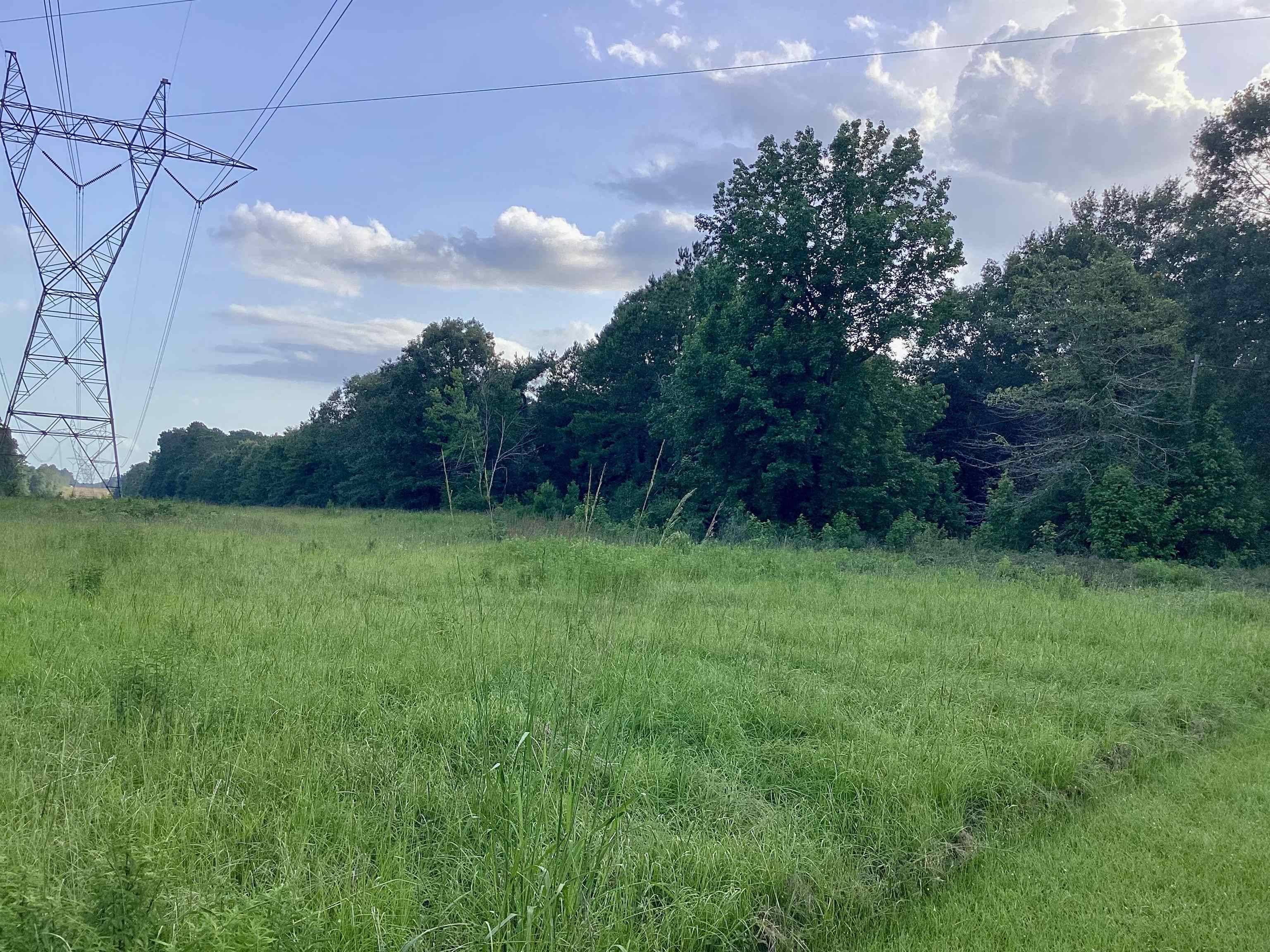 Newton, TX 75966-0000,000 County Road 2020