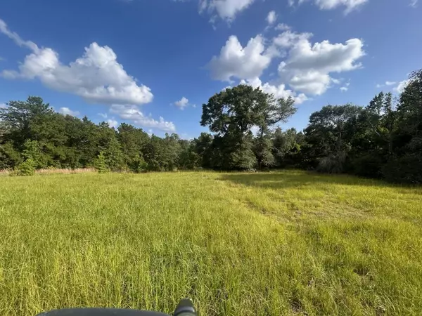 Hillister, TX 77624,lot 184 & 185 HUNTERS CREEK